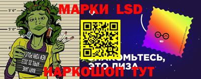 гидропоника Пенза