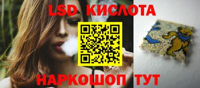 гидропоника Пенза