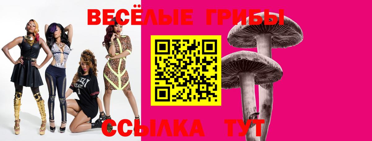Рузаевка  Псилоцибиновые грибы Psilocybine cubensis  Вход с VPN  Галлюциногенные грибы ЛСД 